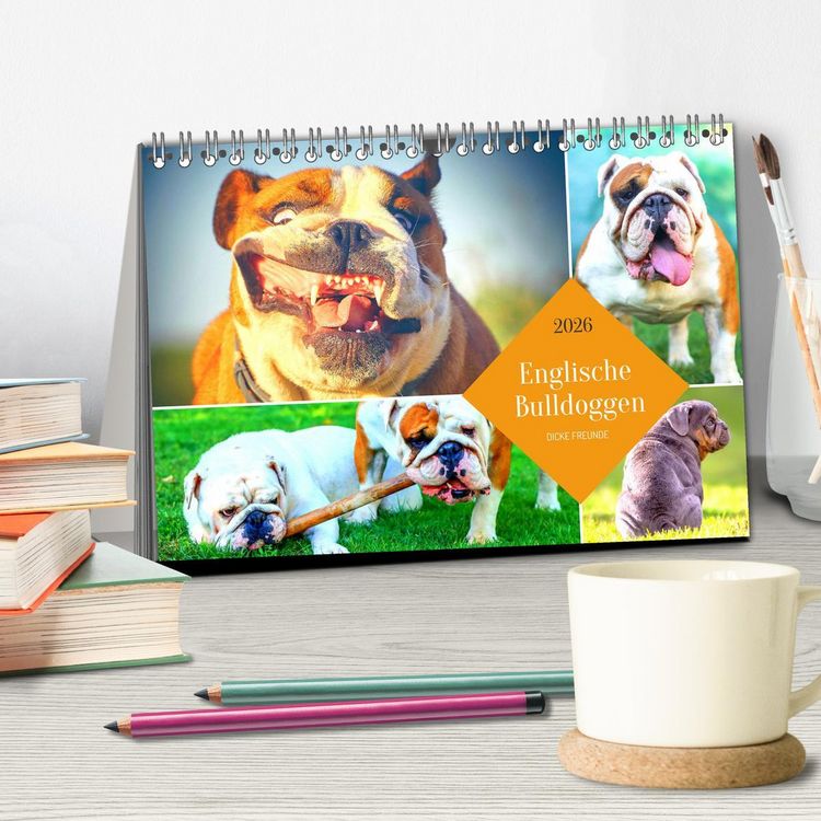 Produktbild: Dicke Freunde. Englische Bulldoggen (Tischkalender 2026 DIN A5 quer), CALVENDO Monatskalender