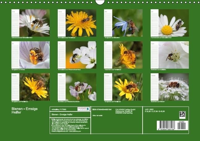 Produktbild: Bienen - Emsige Helfer (Wandkalender immerw&auml;hrend DIN A3 quer)