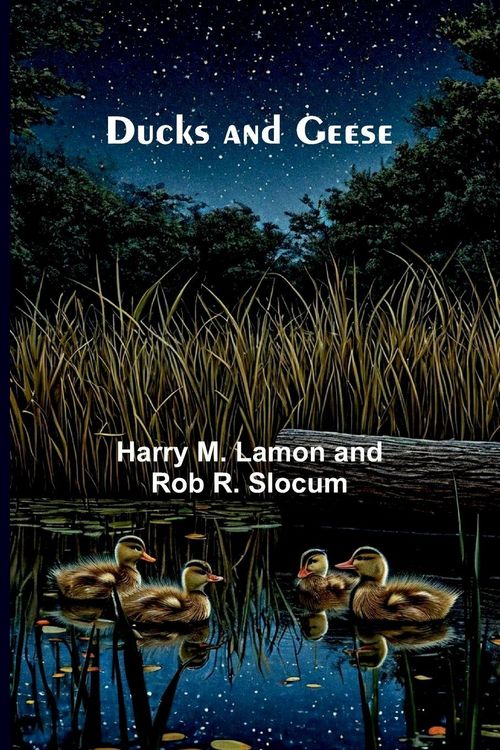 Produktbild: Ducks and Geese