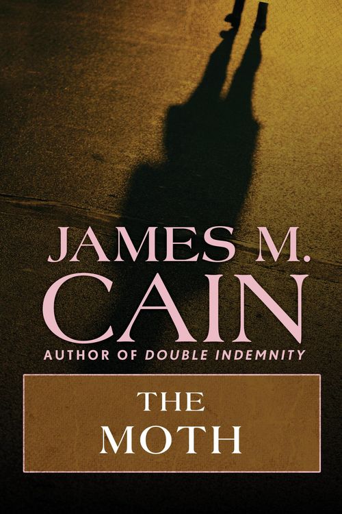 Produktbild: The Moth