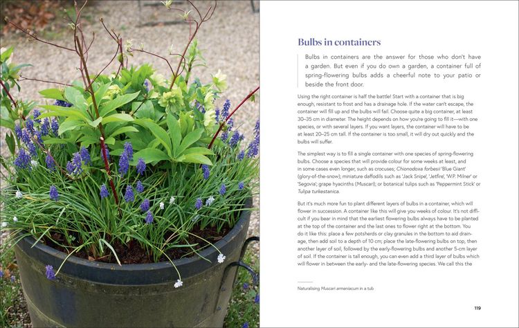 Produktbild: Growing Bulbs in the Natural Garden