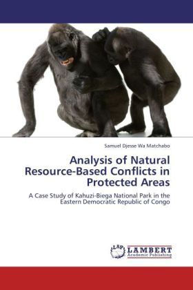 Produktbild: Djesse Wa Matchabo, S: Analysis of Natural Resource-Based Co