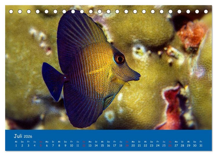 Produktbild: Unterwasserwelten (Tischkalender 2026 DIN A5 quer), CALVENDO Monatskalender