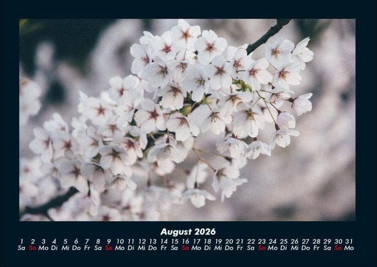 Produktbild: Blumentr&auml;ume 2026 Fotokalender DIN A4