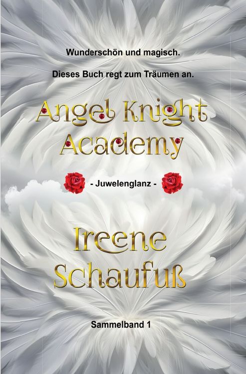 Produktbild: Angel Knight Academy 1 Juwelenglanz