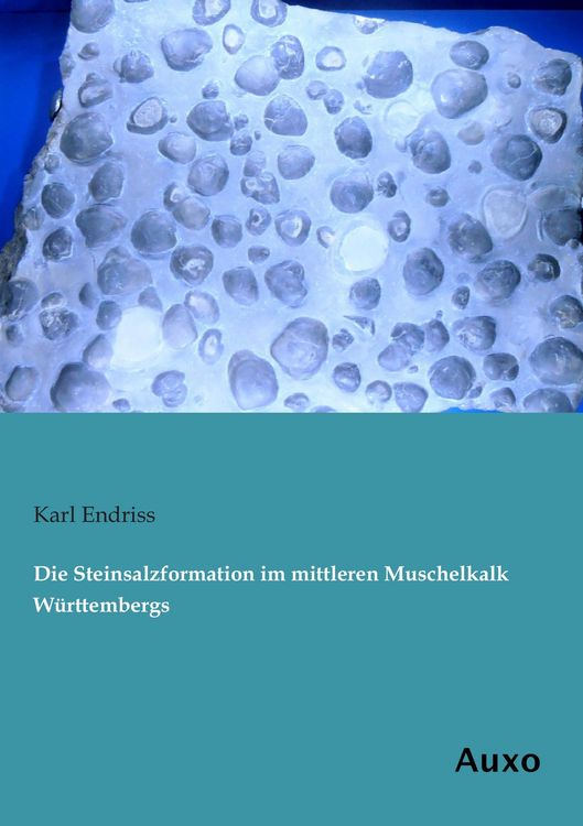 Produktbild: Die Steinsalzformation im mittleren Muschelkalk W&uuml;rttembergs