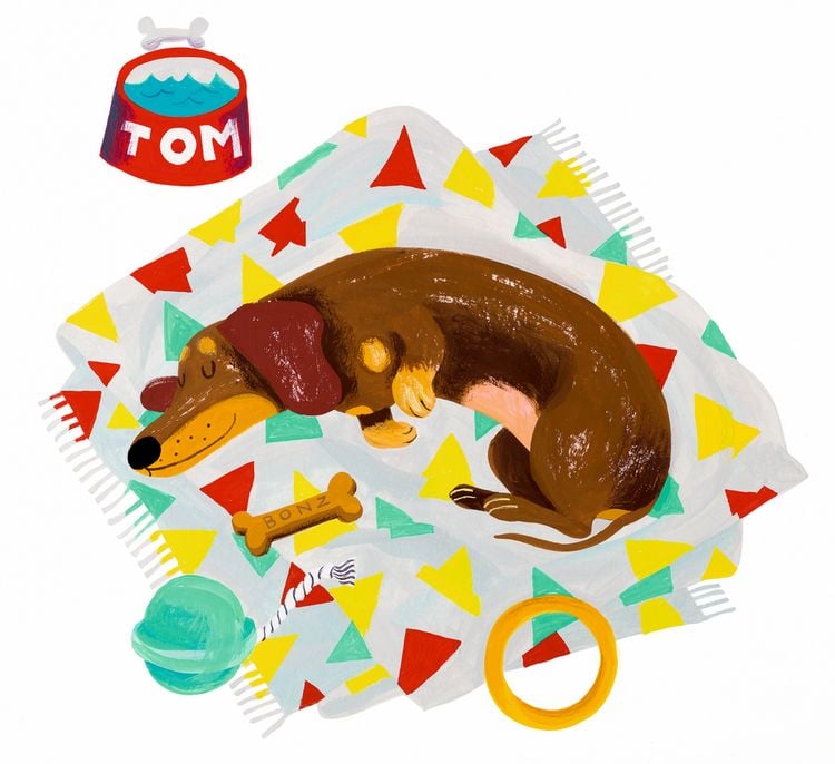 Produktbild: Hol den Ball, Tom!