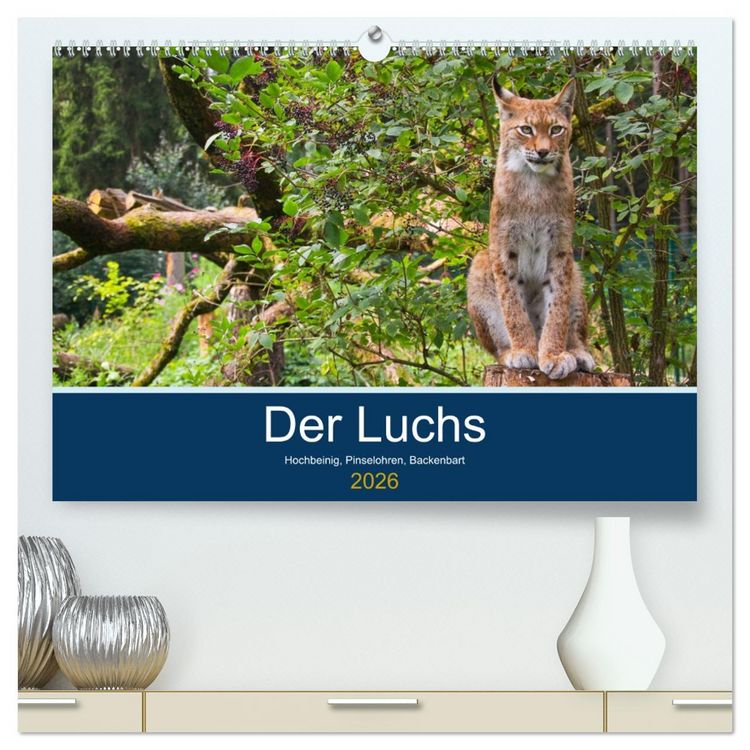 Produktbild: Der Luchs - Hochbeinig, Pinselohren, Backenbart (hochwertiger Premium Wandkalender 2026 DIN A2 quer), Kunstdruck in Hochglanz