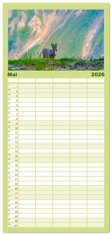 Produktbild: Familienplaner 2026 - Bergk&ouml;nige - Steinb&ouml;cke im Blickpunkt der Naturfotografie mit 5 Spalten (Wandkalender, 21 x 45 cm) CALVENDO