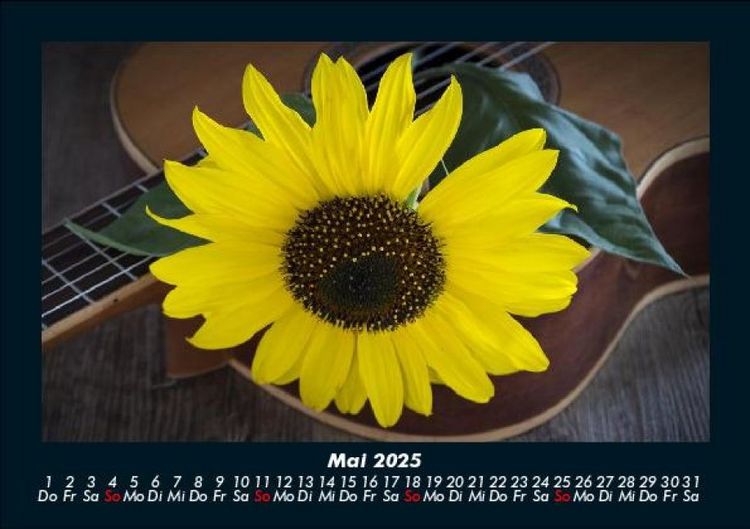 Produktbild: Blumenzauber 2025 Fotokalender DIN A5