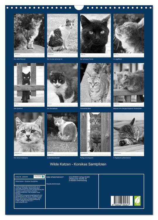 Produktbild: Wilde Katzen - Korsikas Samtpfoten (Wandkalender 2026 DIN A3 hoch), CALVENDO Monatskalender