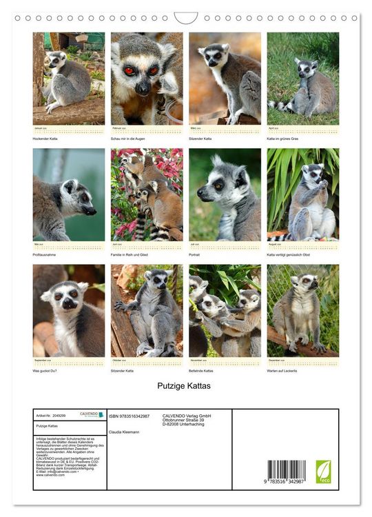 Produktbild: Putzige Kattas (Wandkalender 2026 DIN A3 hoch), CALVENDO Monatskalender