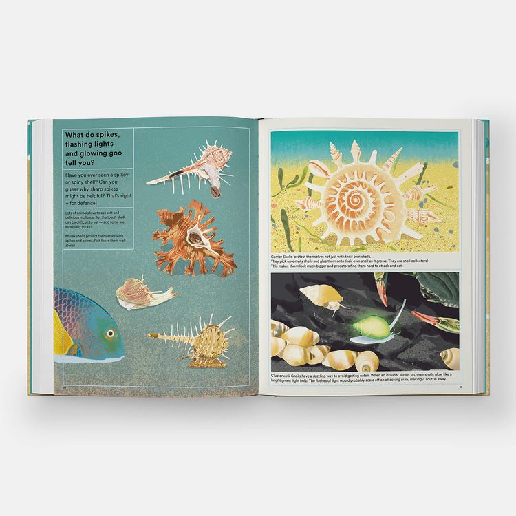 Produktbild: What A Shell Can Tell