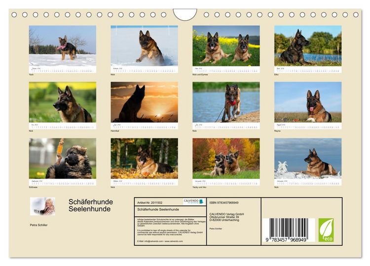 Produktbild: Sch&auml;ferhunde Seelenhunde (Wandkalender 2026 DIN A4 quer), CALVENDO Monatskalender