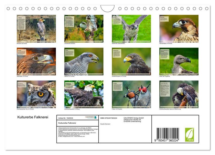 Produktbild: Kulturerbe Falknerei (Wandkalender 2026 DIN A4 quer), CALVENDO Monatskalender