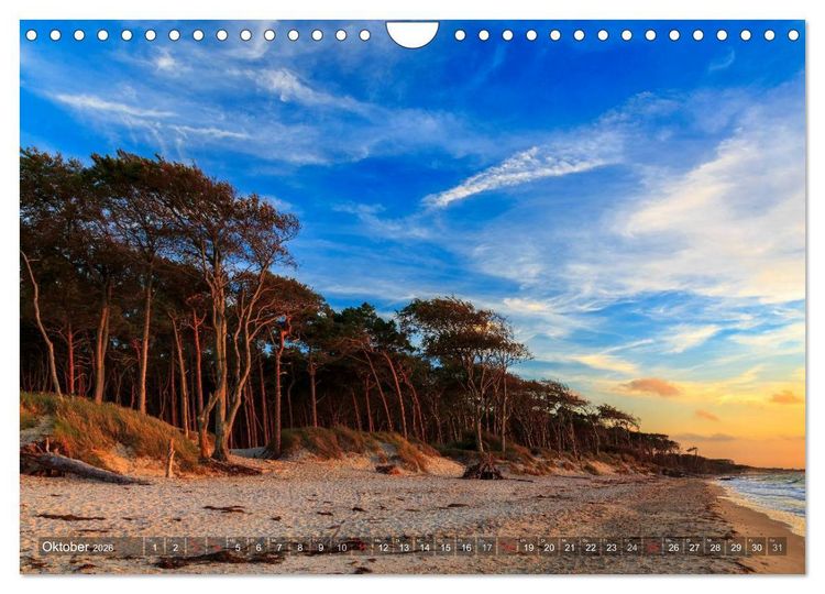 Produktbild: Stimmungsvolle Ostseek&uuml;ste 2026 (Wandkalender 2026 DIN A4 quer), CALVENDO Monatskalender