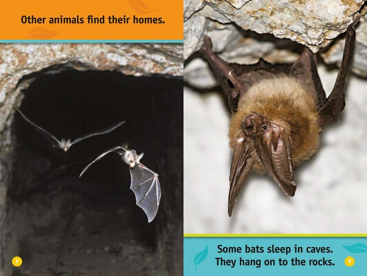 Produktbild: Animal Homes