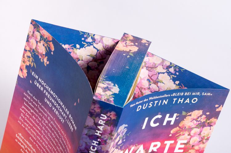 Produktbild: Ich warte auf dich, Haru