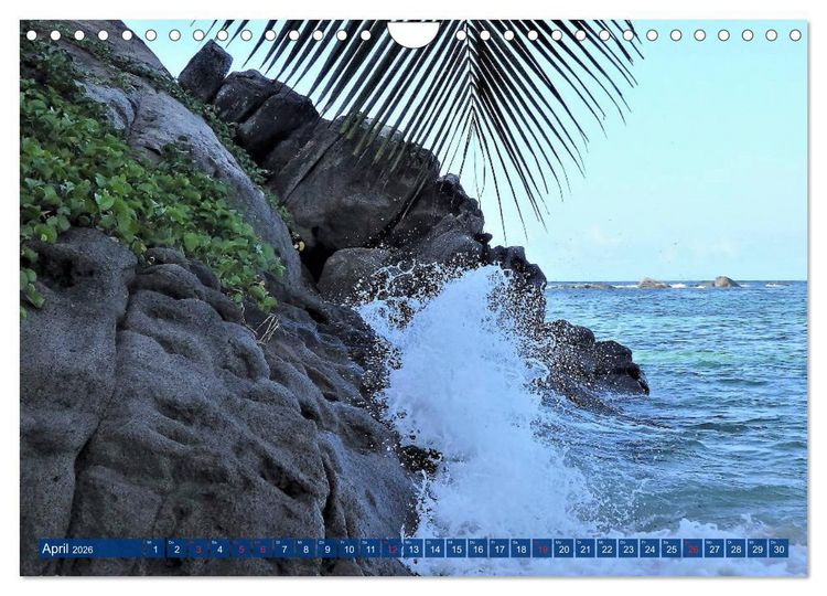 Produktbild: Seychellen - Wild und Sch&ouml;n (Wandkalender 2026 DIN A4 quer), CALVENDO Monatskalender