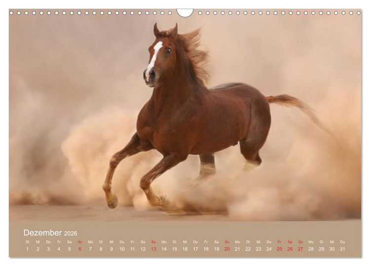 Produktbild: Pferde &bull; Araber im W&uuml;stensand (Wandkalender 2026 DIN A3 quer), CALVENDO Monatskalender