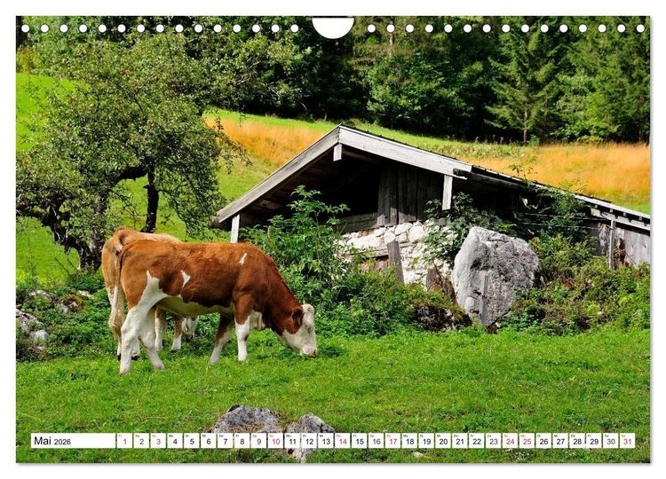Produktbild: Mein Werdenfelser Land (Wandkalender 2026 DIN A4 quer), CALVENDO Monatskalender