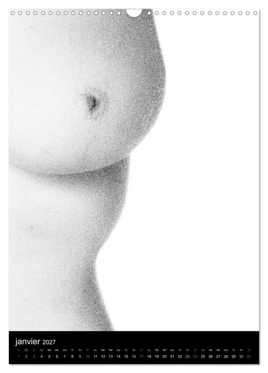 Produktbild: F&eacute;minit&eacute; (Calendrier mural 2027 DIN A3 horizontal), CALVENDO calendrier mensuel