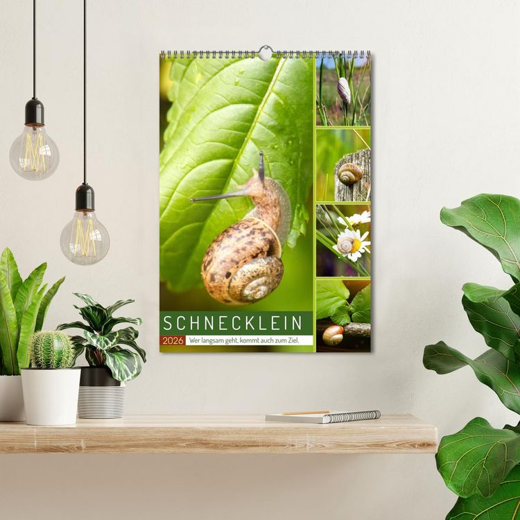 Produktbild: Schnecklein (Wandkalender 2026 DIN A3 hoch), CALVENDO Monatskalender