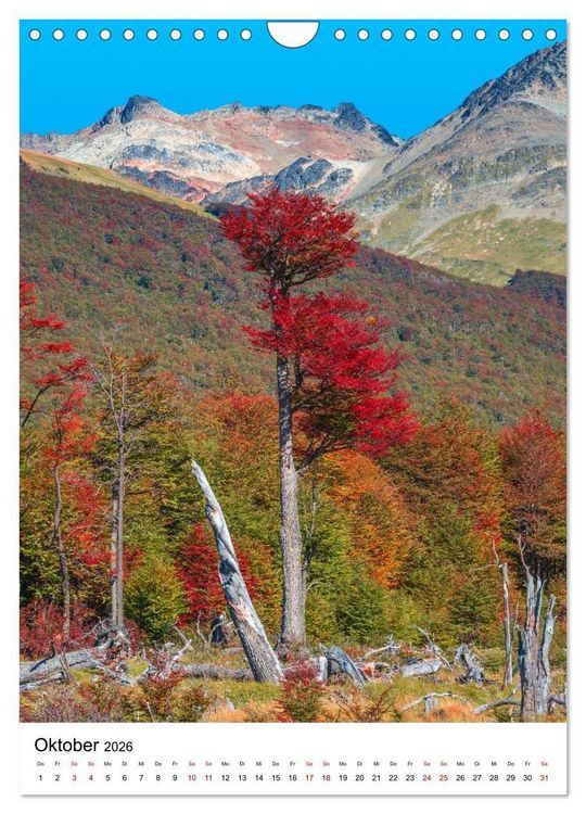 Produktbild: Patagonien, die sch&ouml;nsten Reiseziele: Wildnis am Rande der Welt (Wandkalender 2026 DIN A4 hoch), CALVENDO Monatskalender