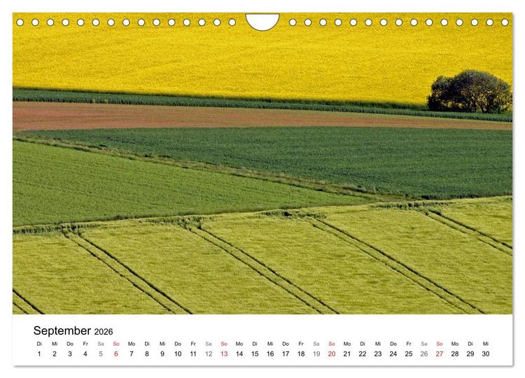 Produktbild: Rapsodie (Wandkalender 2026 DIN A4 quer), CALVENDO Monatskalender
