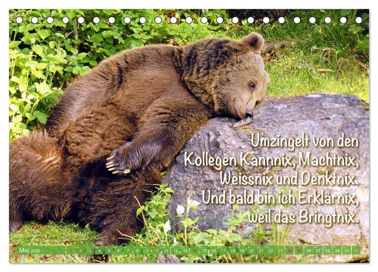Produktbild: Spa&szlig; mit B&auml;ren: Edition lustige Tiere (Tischkalender 2026 DIN A5 quer), CALVENDO Monatskalender