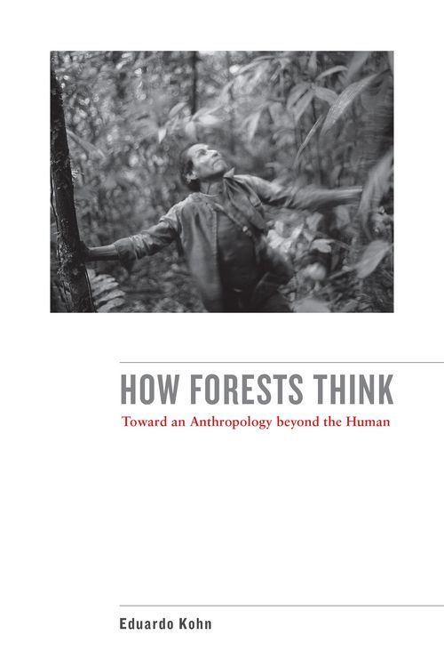 Produktbild: How Forests Think