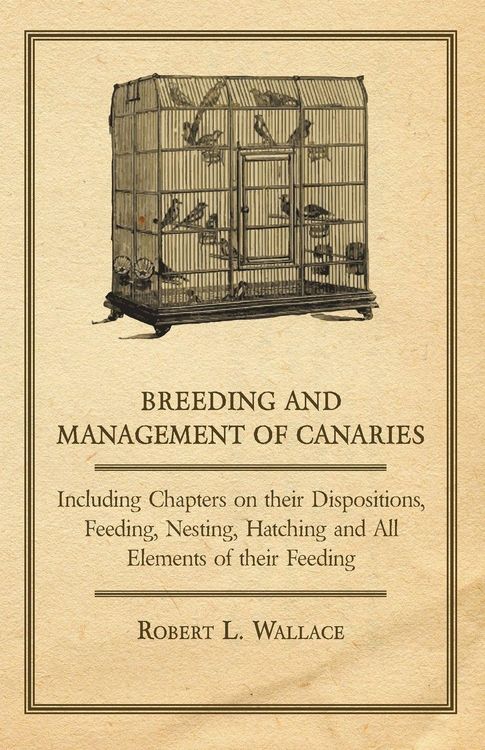 Produktbild: Breeding and Management of Canaries - Including Chapters on their Dispositions, Feeding, Nesting, Hatching and All Elements of their Feeding