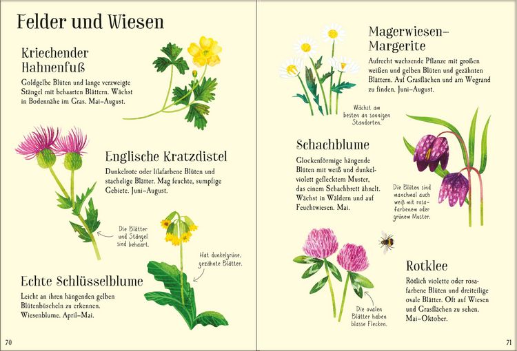 Produktbild: Mein Usborne-Naturf&uuml;hrer