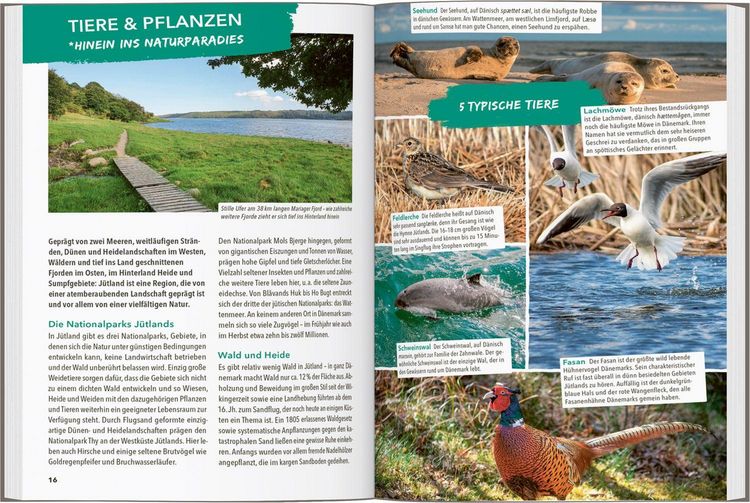 Produktbild: MARCO POLO OUTDOOR GUIDE Reisef&uuml;hrer J&uuml;tland D&auml;nemark