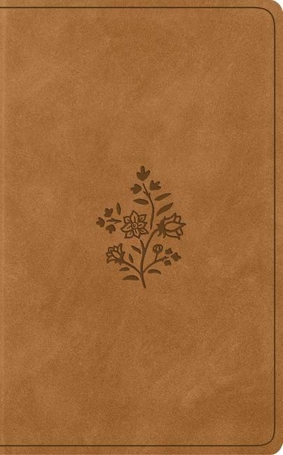 Produktbild: ESV Vest Pocket New Testament with Psalms and Proverbs, Red Letter