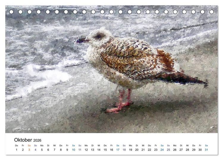 Produktbild: Landschaften auf dem Dar&szlig; in &Ouml;lfarben (Tischkalender 2026 DIN A5 quer), CALVENDO Monatskalender