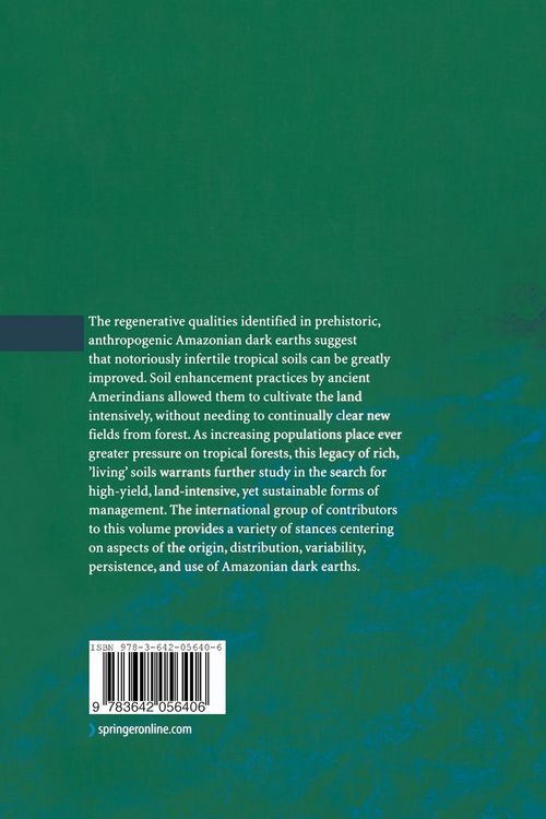 Produktbild: Amazonian Dark Earths: Explorations in Space and Time