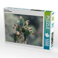 Produktbild: CALVENDO Puzzle Ein Motiv aus dem Kalender Birds of Ecuador | 1000 Teile Lege-Gr&ouml;&szlig;e 64x48cm Foto-Puzzle f&uuml;r gl&uuml;ckliche Stunden