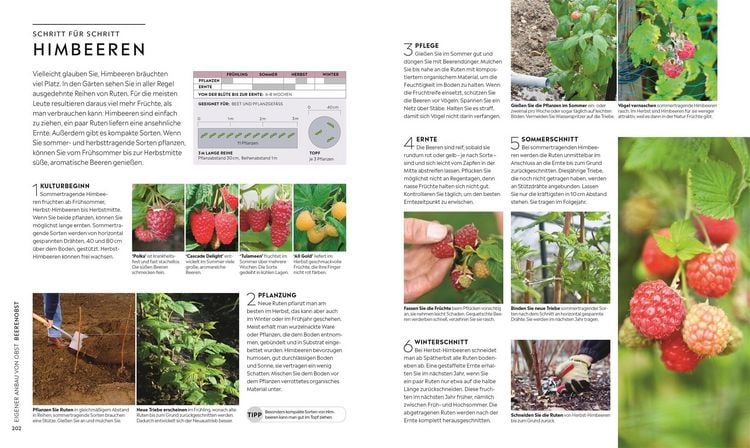 Produktbild: Kleiner Garten - gro&szlig;e Ernte