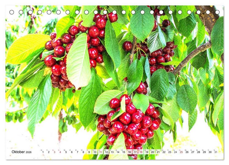 Produktbild: Kirschen. Wer kann da schon widerstehen? (Tischkalender 2026 DIN A5 quer), CALVENDO Monatskalender