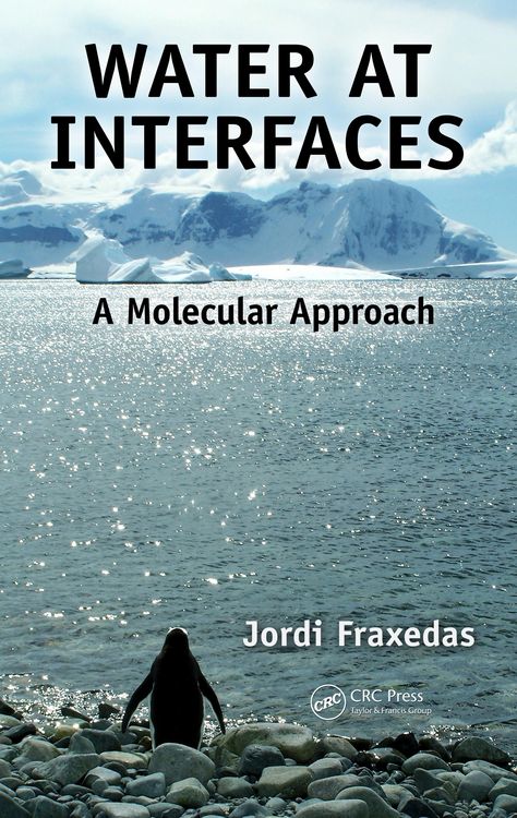 Produktbild: Water at Interfaces