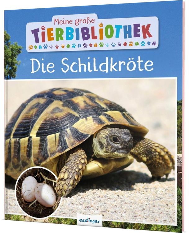 Produktbild: Meine große Tierbibliothek: Die Schildkröte