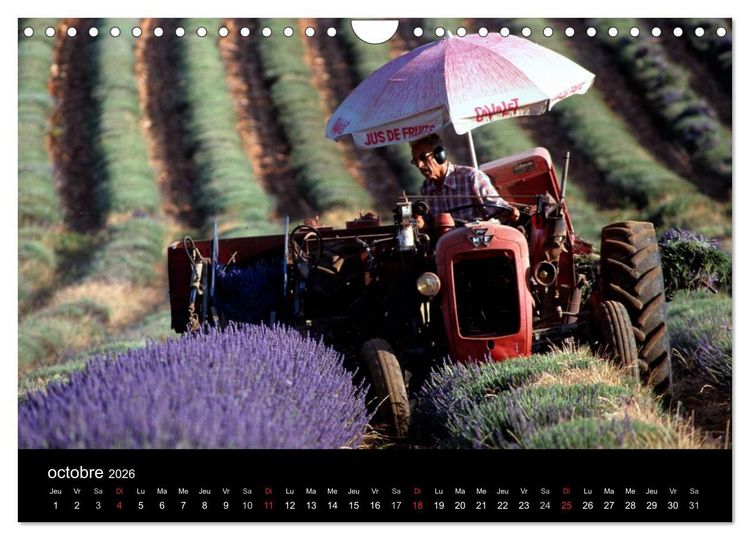Produktbild: Lavande, l'or bleu de Provence (Calendrier mural 2026 DIN A4 vertical), CALVENDO calendrier mensuel