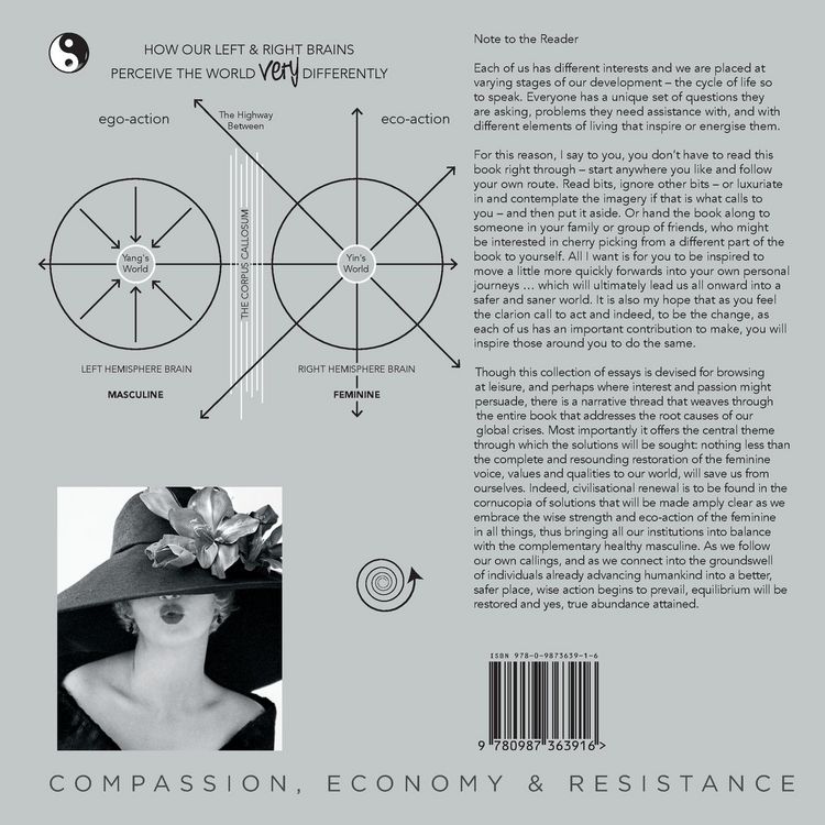 Produktbild: Insights from the Big Picture Narrative of a Sewing Machine Activist