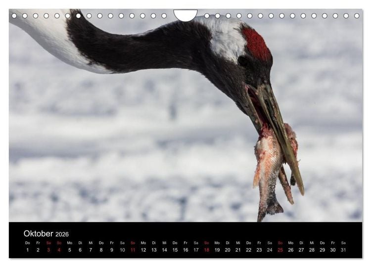 Produktbild: Mandschurenkraniche (Wandkalender 2026 DIN A4 quer), CALVENDO Monatskalender
