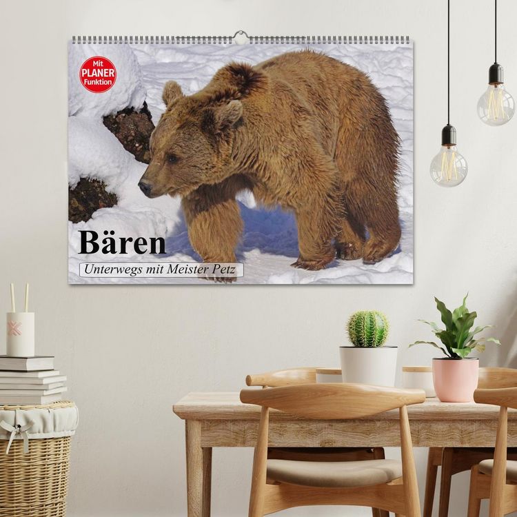 Produktbild: B&auml;ren. Unterwegs mit Meister Petz (Wandkalender 2026 DIN A2 quer), CALVENDO Monatskalender