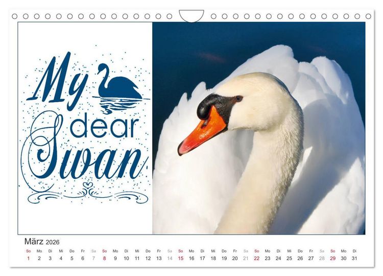 Produktbild: Tierisch Denglisch (Wandkalender 2026 DIN A4 quer), CALVENDO Monatskalender