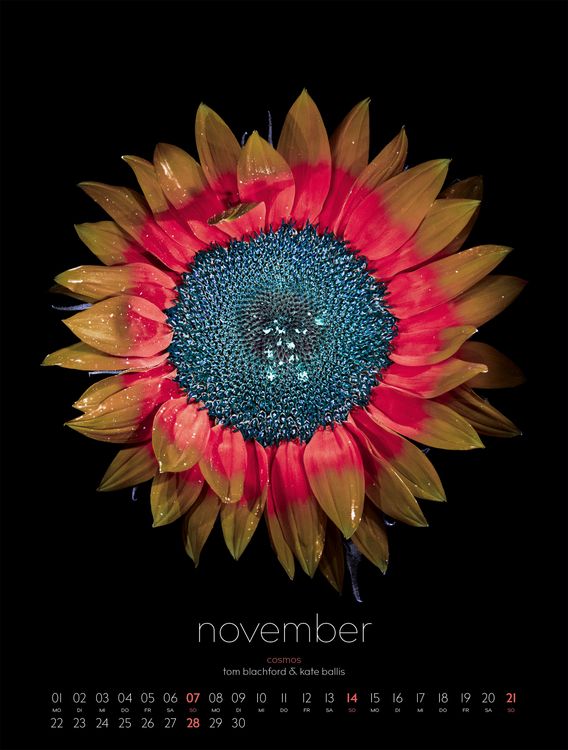Produktbild: in bloom Kalender 2027