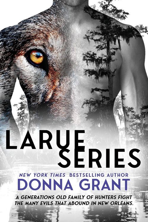 Produktbild: LaRue Series