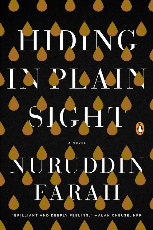 Produktbild: Hiding in Plain Sight